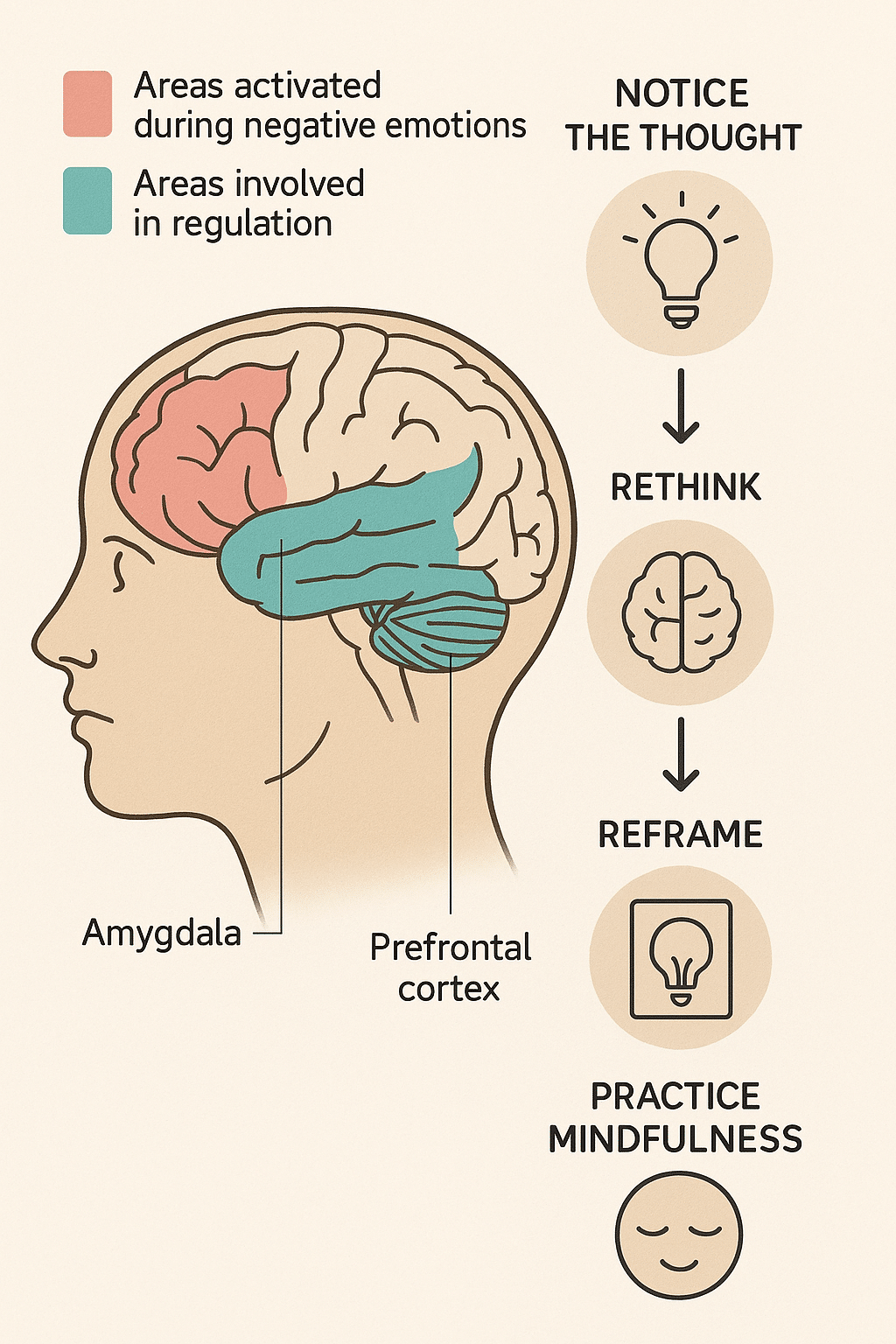 6 Effective Ways on How to Deal with Negative Emotions 6 Brain diagram explaining how to deal with negative emotions through thought reframing and mindfulnes