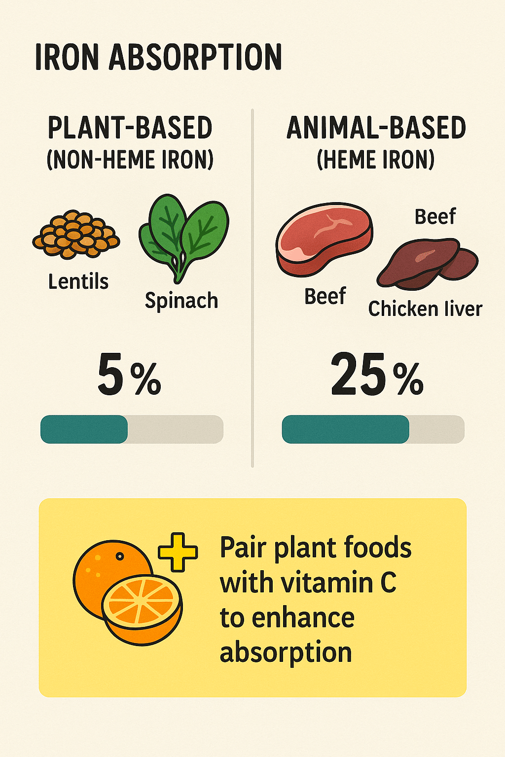 6 Essential Iron Rich Foods for Pregnancy to Boost Health 4 Comparison chart showing iron absorption from animal and plant iron rich foods for pregnancy