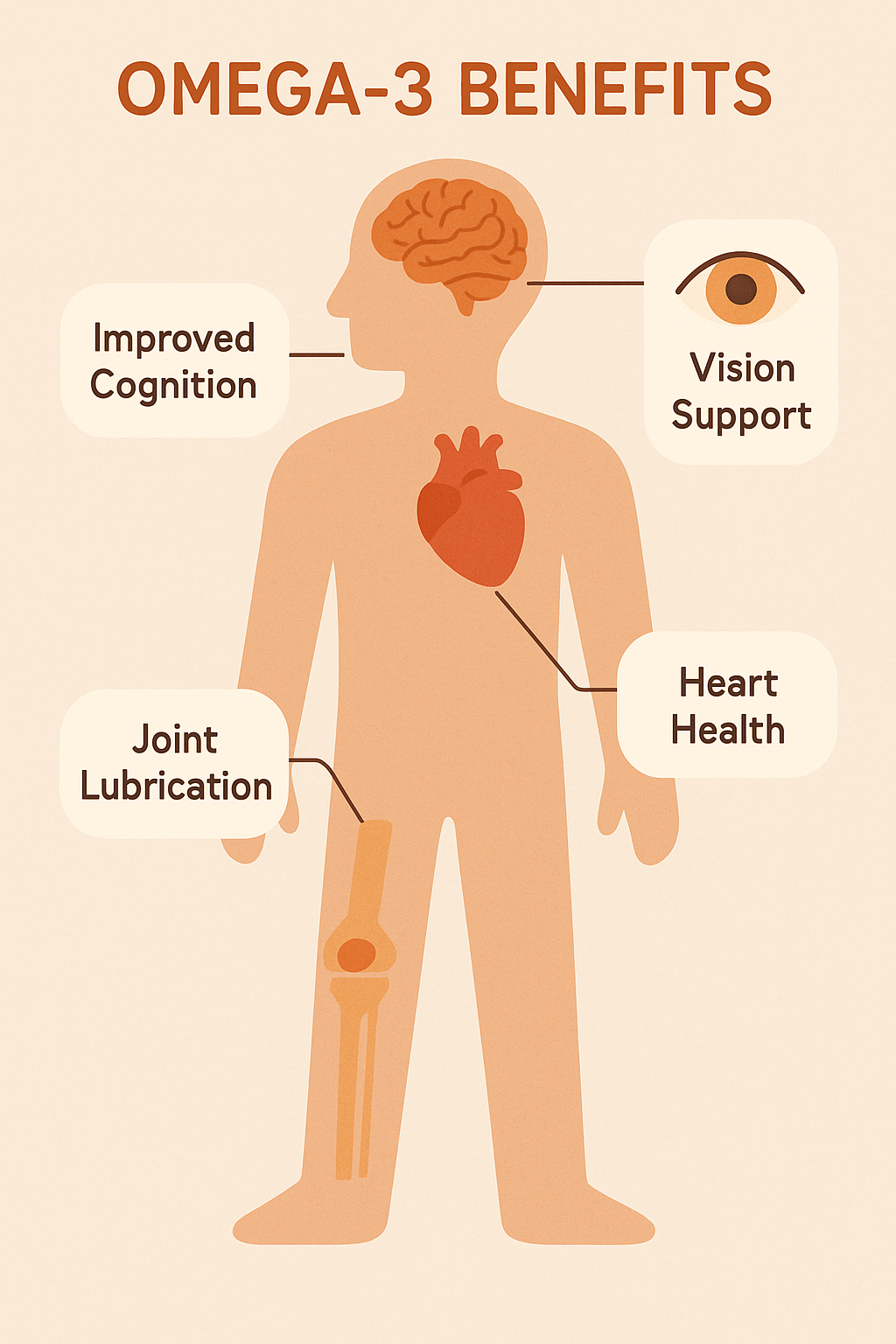 7 Best Omega 3 Supplements for Optimal Health and Wellness 7 Human body showing health benefits of best omega 3 supplements for wellness