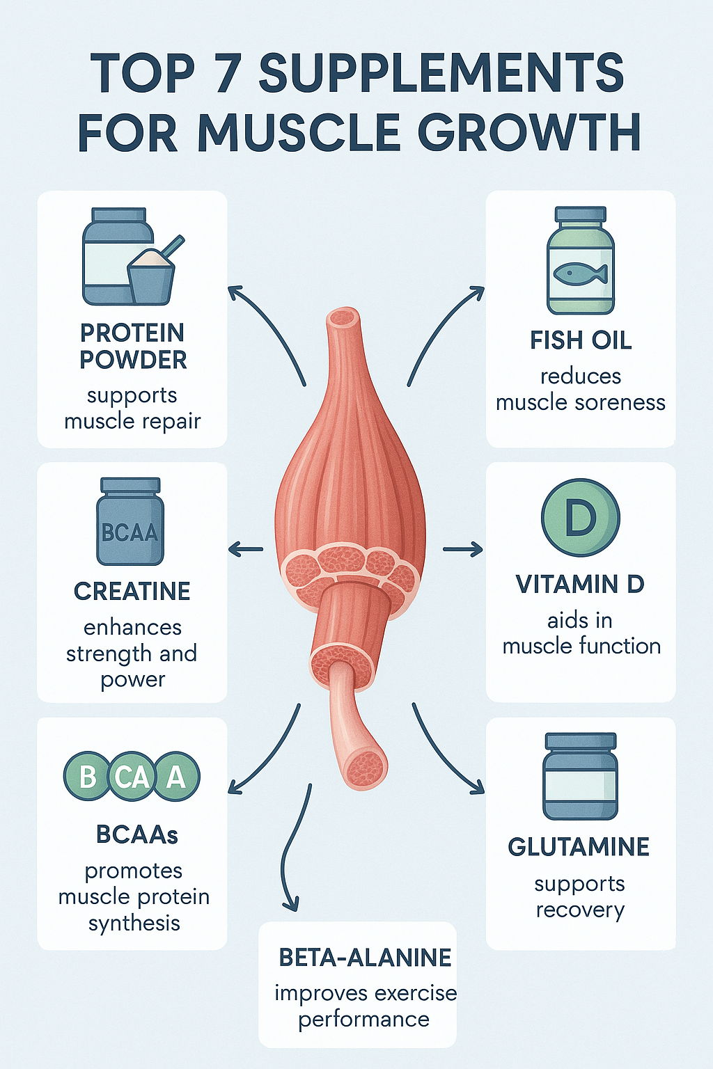 7 Best Supplements for Muscle Growth: Natural & Effective 3 Infographic showing the best supplements for muscle growth with muscle fiber and supplement icons