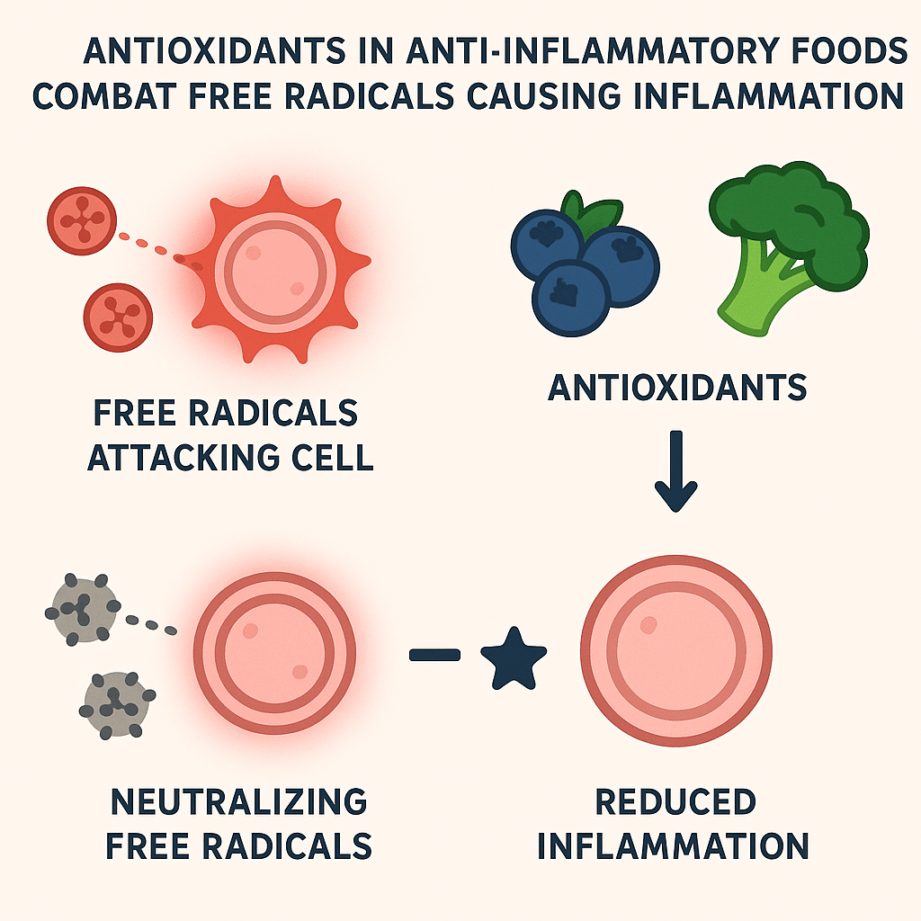 15 Best Anti Inflammatory Foods to Boost Natural Wellness 6 Step by step graphic showing antioxidants in best anti inflammatory foods reducing inflammation